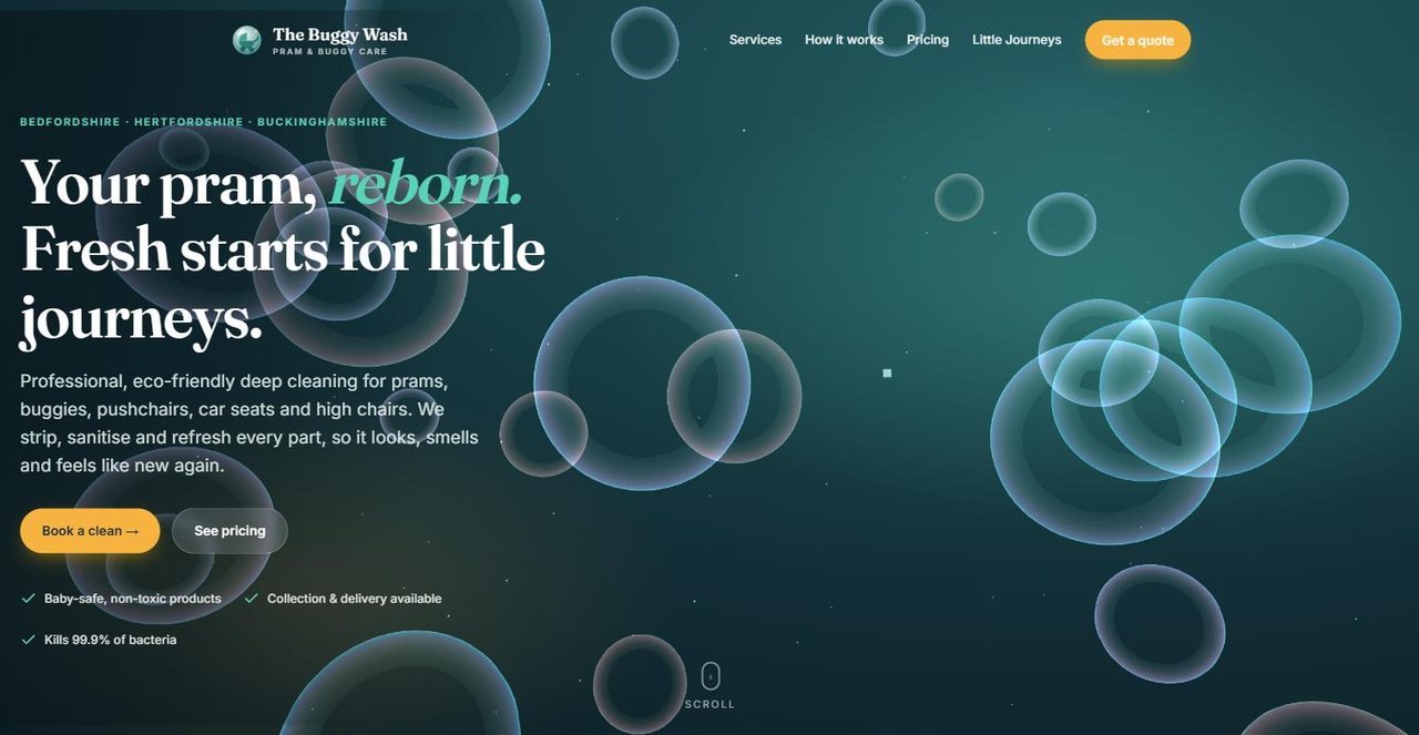 The Buggy Wash website